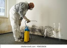 Best Asbestos and Lead Testing During Mold Inspection in Santa Ana, CA